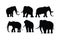 Big elephant walking silhouette collection on a white background. Huge elephant silhouette icon bundle. Wild animal silhouette set