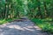 Big endless sand road in green forest landscape