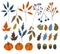 Big fall autumn bundle. Set of 27 vector elements. Berries, leaves, flowers, branches, pumpkin, acorn isolated on white background