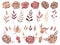 Big fall autumn bundle. Set of 27 vector elements. Roses, rosehip, leaves, physalis, branches. Vector elements isolated on white