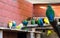 Big family of parakeets together on a branch, colorful tropical birds in the aviary