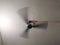 Big fan hanging on the ceiling in dark tone. Moving electric ceiling fan