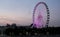 Big ferries wheel in Montreal at night