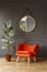 Big ficus plant, a vibrant orange armchair and a round mirror in a gray living room interior with place for a floor lamp. Real pho
