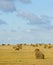 Big field with round sheaves of yellow straw