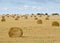 Big field with round sheaves of yellow straw after a crop harvest