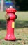 Big fire hydrant to extinguish fires in the village