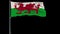 Big flag of Wales, 4k prores 4444 footage with alpha transparency