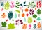 Big Floral Set of colorful hand drawn flowers, bushes, leaves, branches, pumpkin, mushrooms isolated on white.