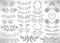 Big Floral Set of gray hand drawn dividers, laurel wreaths, leaves, flowers, branches isolated on white.