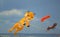 Big flying animals kites
