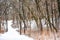 Big Foot Beach State Park in Winter with Snow