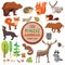 Big Forest Funny Animals Set. Vector Collection, On White Background, Fox, Squirrel, Bear, Wolf and Others,