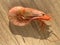 Big fresh pink king jumbo tiger cooked prawn shrimp seafood top flat view on wooden background