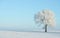 Big frost, wonderful winter landscape. Frost on trees, meadows and in nature. Lithuania winter amazing nature. Majestic winter lan