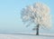 Big frost, wonderful winter landscape. Frost on trees, meadows and in nature. Lithuania winter amazing nature. Majestic winter lan