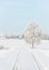 Big frost, wonderful winter landscape. Frost on trees, meadows and in nature. Lithuania winter amazing nature. Majestic winter lan