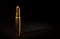 Big Game Rifle Cartridge - 460 cal