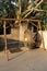 Big gold Gong in a buddhist temple, where you could see how clean