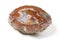 Big golden agate mineral on white background