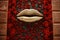 Big golden lips on background of red roses wall, stylish decor on building. Beauty cosmetics shop or studio. International womens
