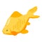 Big goldfish icon, isometric style