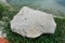 A big gray chert sedimentary rock isolated on a white background. Big stone for outdoor garden decoration.