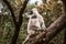 Big gray monkey sits on a tree in the jungle