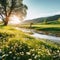 Big green field with flowers with blue sky and sunset and a river