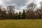 Big green glade full of green grass in front of square full of high trees