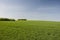 Big green meadow, copse and blue sky