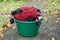 Big green plastic washbasin with wet clothes on the street on asphalt