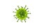 Big green virus on a white background