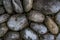 A big grey stones on the garden decoration. Surface design.