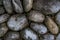 A big grey stones on the garden decoration. Surface design