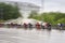 Big group of colorful racing cyclists on the city street, day, abstract, sport motion blurred background with copy space