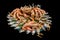 Big hairy boiled crab sits on a heap of dried salted fish on a gift bouquet on the black background, focus on shrimps