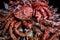 Big hairy boiled crab sits on a heap of dried salted fish on a gift bouquet on the black background. Toned image