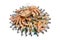 Big hairy boiled crab sits on a heap of dried salted fish on a gift bouquet on the white background