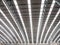 Big Hall Roof steel structure the modern design