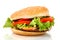 Big hamburger side view isolated