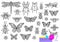Big hand drawn line set of insects bugs, beetles, honey bees, butterfly moth, bumblebee, wasp, dragonfly, grasshopper.