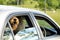 Big happy dog sticking head out car window smiling going for ride