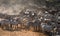 Big herd of zebras standing in front of the river. Kenya. Tanzania. National Park. Serengeti. Maasai Mara.