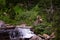 A Big horned Sheep posing in front of a waterfall