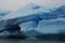 Big iceberg in Los Glaciares National Park, Argentina