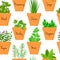 Big icon seamless pattern set of culinary herbs in orange terracotta clay pots with labels