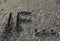 big IF inscription on the sea sand with the three suspension poi