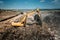 Big, Industrial city waste dump yard details - excavator doing construction works