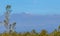 Big Island, Hawaii. Mauna Kea Summit Observatories covered by snow is viewed from the Saddle Road